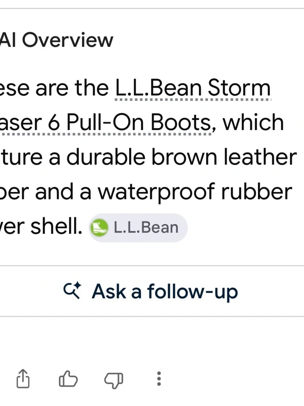 L.L. Bean Women's Brown Waterproof Zip-Top Ankle Boot